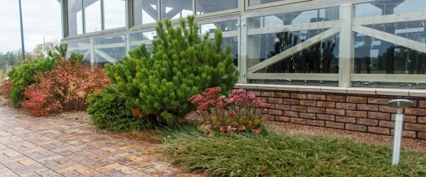 modern-restaurant-with-tile-pavement-and-landscape-2025-03-16-16-53-43-utc