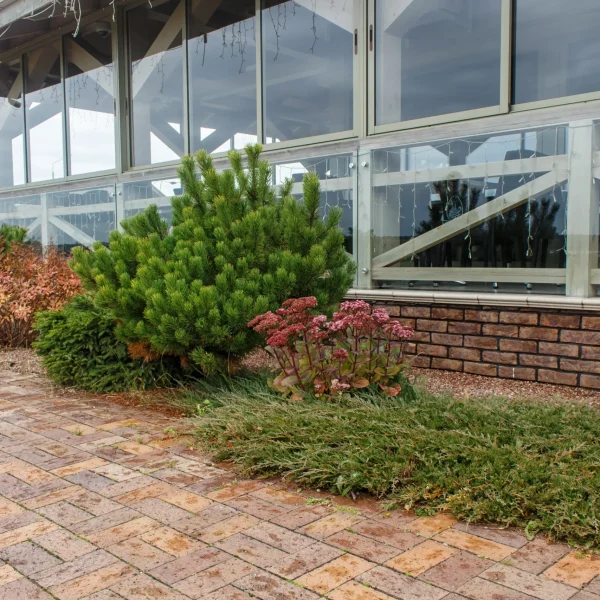 modern-restaurant-with-tile-pavement-and-landscape-2025-03-16-16-53-43-utc